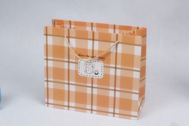 Luxury Card Paper Carrier Bag 3