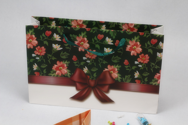Luxury Paper Carrier Bag 3