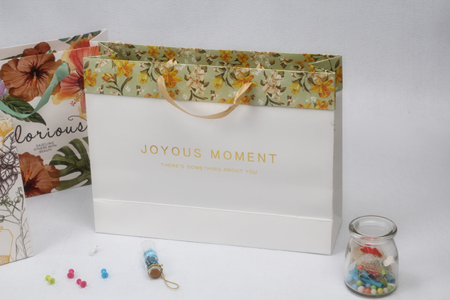 Luxury Card Paper Bag 2