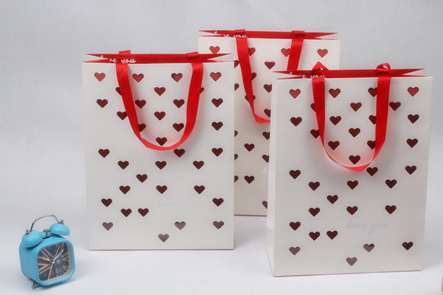 Luxury Paper Bag 2